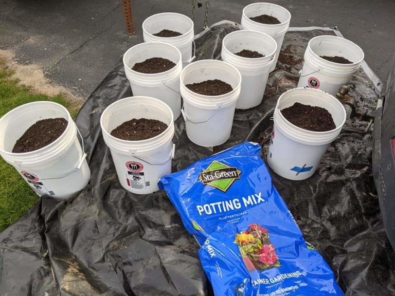 Walk for Good Food 2021: Trinity United Methodist Church